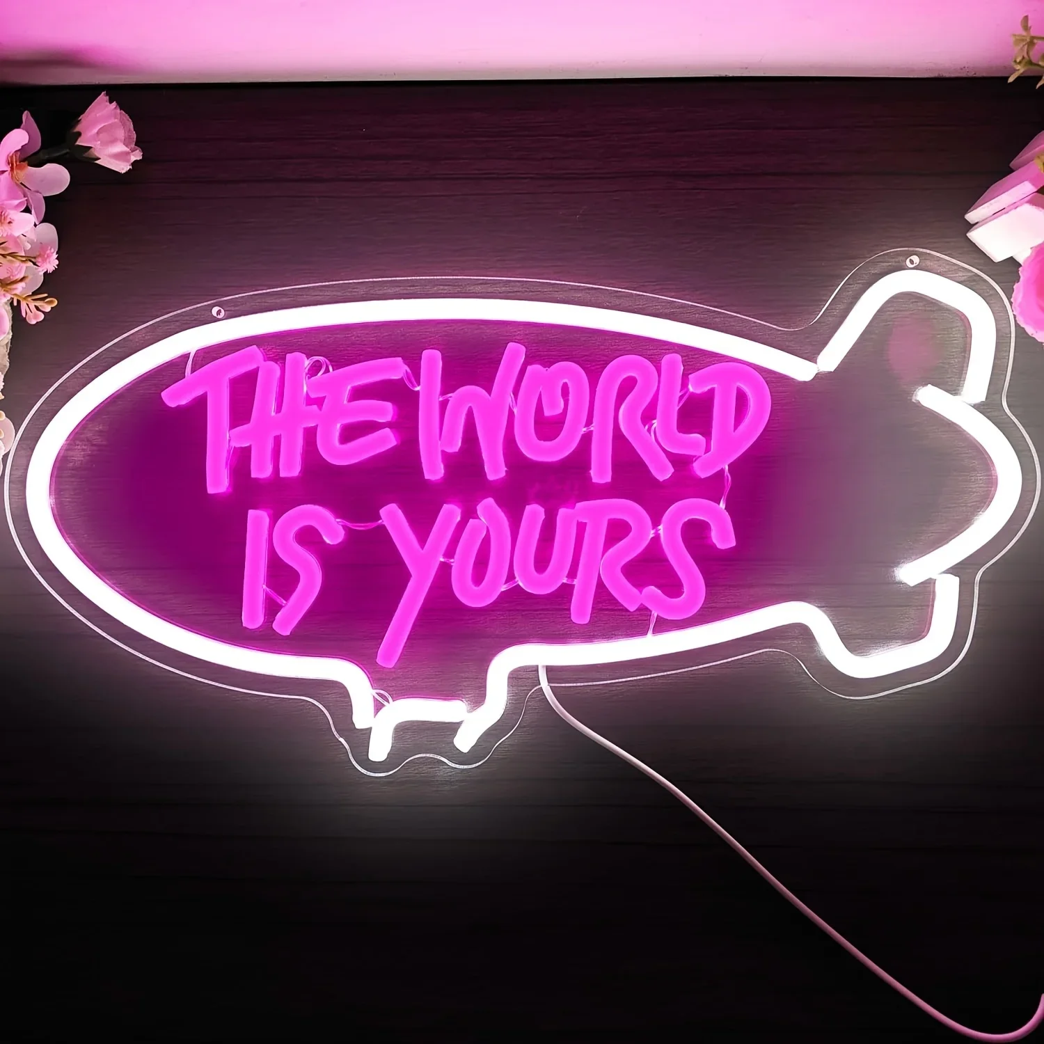 The World Is Yours Blimp Neon  - огляд і ціна Outdoor Lighting For Your Home